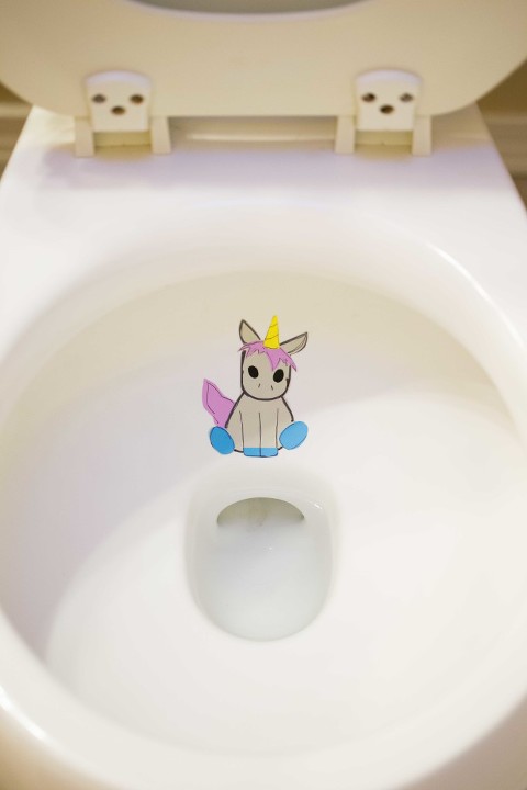 Unicorn Pee target, by June Bug photography. Snohomish county family photography.