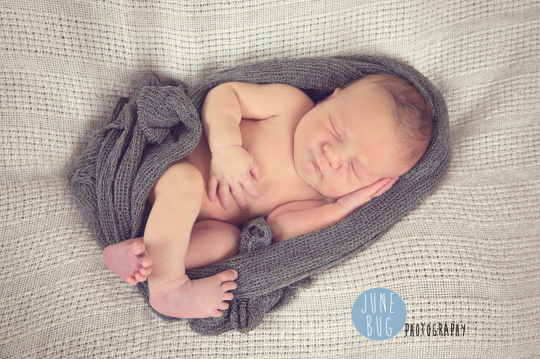 June bug photography newborn photographer snohomish county
