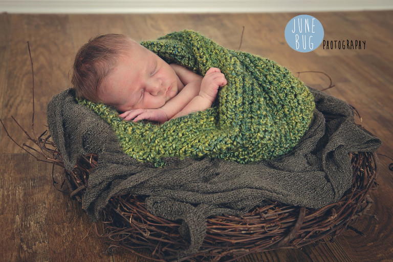 Snohomish county newborn photographer june bug photography