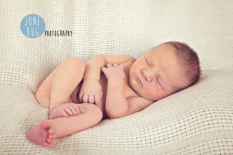 June bug photography 98296