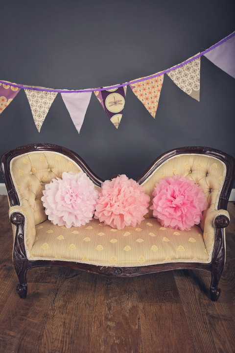 june bug photography props 