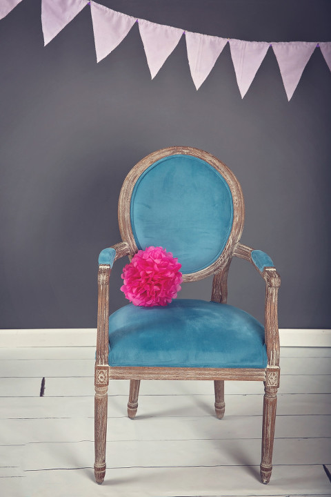 Snohomish county photography props