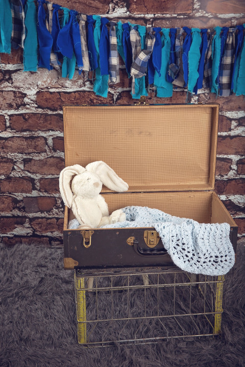 snohomish county newborn photographer