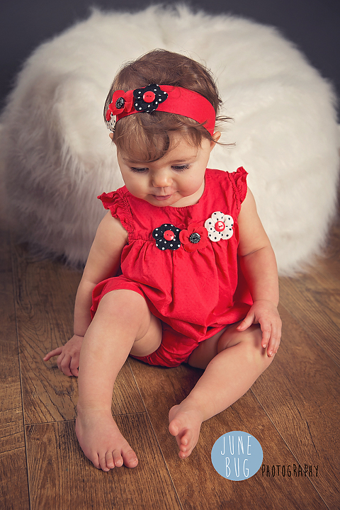 June bug photography