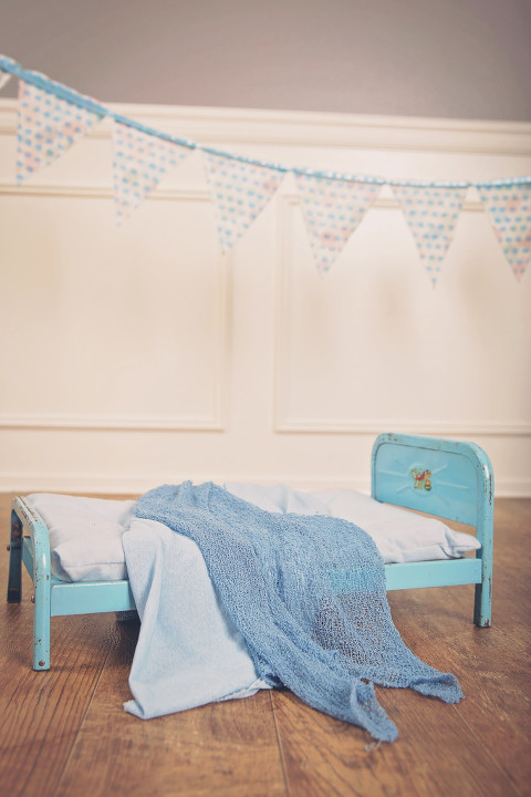 snohomish county newborn photographer