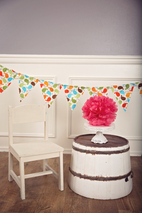 snohomish county photographer cake smash