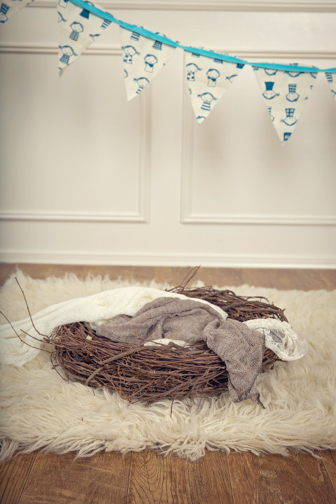 snohomish county newborn photography