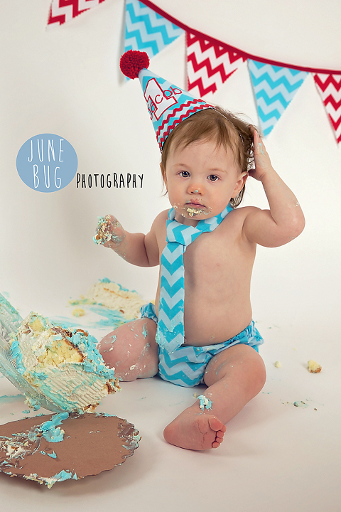 Cake Smash photography snohomish county