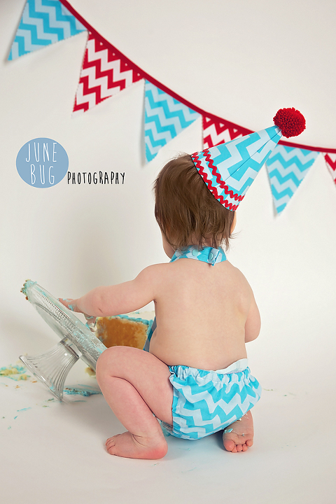 Cake Smash photography snohomish county