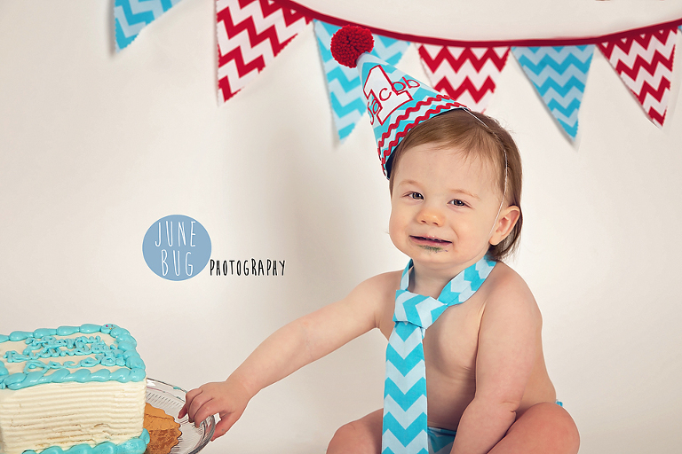 Cake Smash photography snohomish county