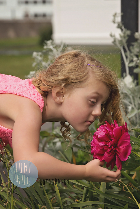 snohomish family photographer