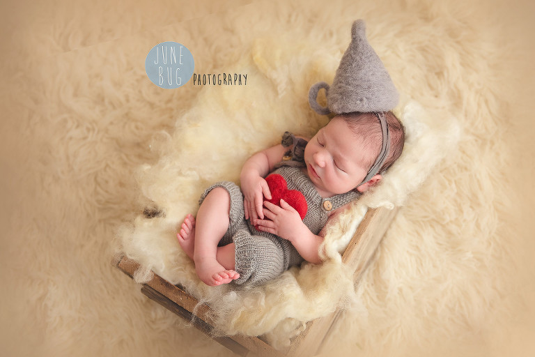 DIY props - June Bug Photography Snohomish Newborn Photographer - June Bug  Photography, Mill Creek Newborn photography & family photographer